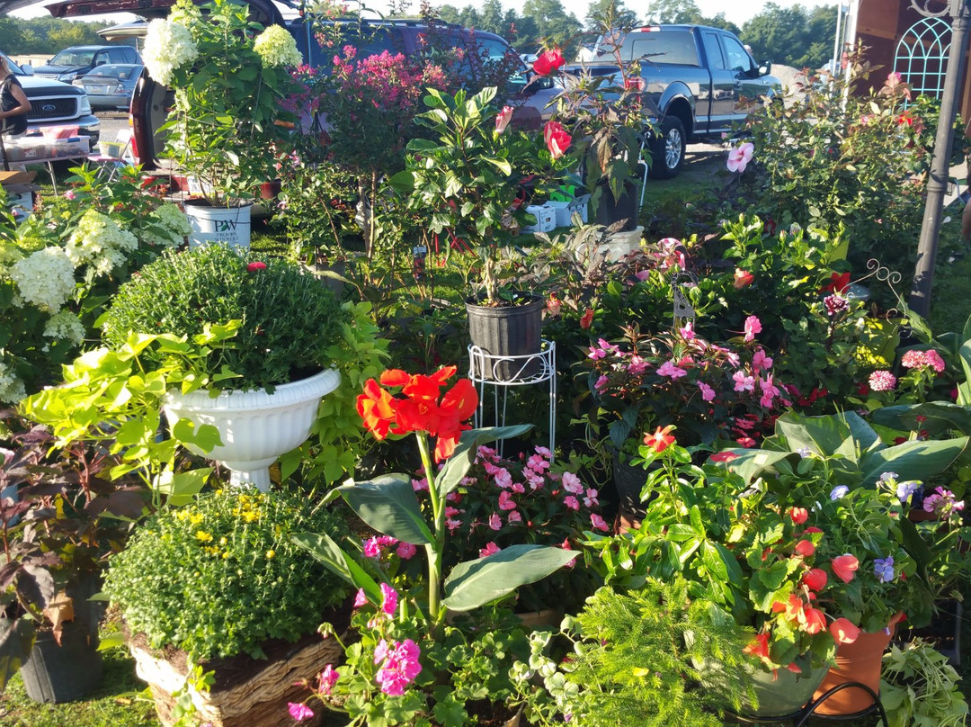 Williams Grove Farmers Flea Market-梅卡尼克斯堡必去景点