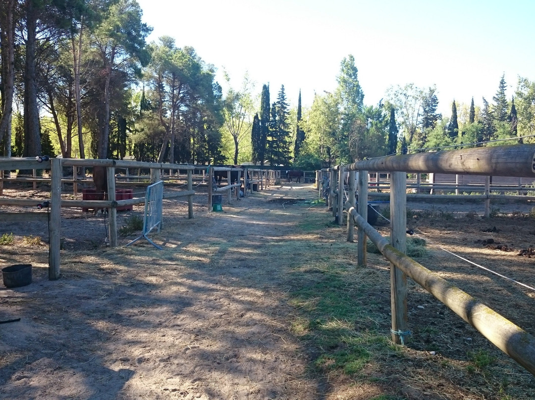 Centre équestre des Pyramides-拉格朗德默特必去景点