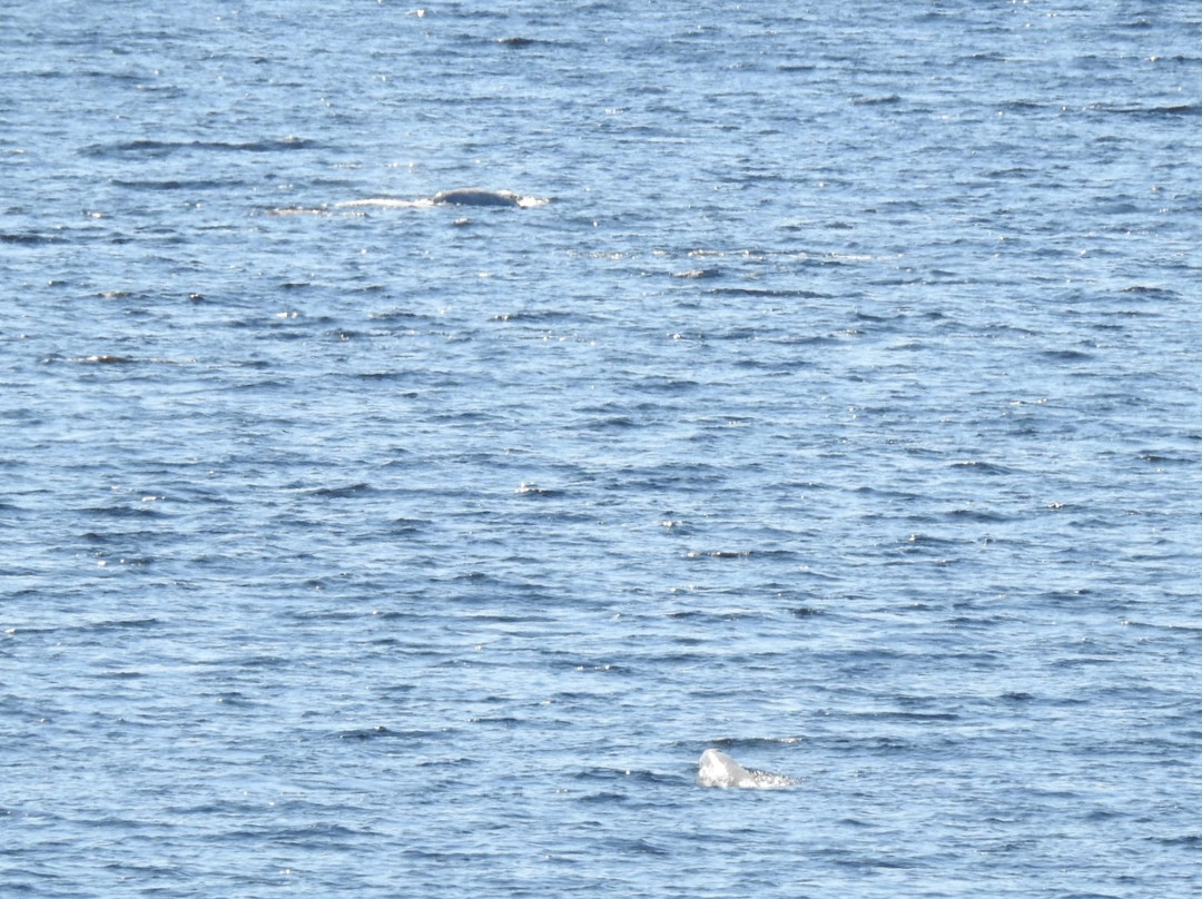 Baie Sainte-Marguerite-Sacré-Coeur-Saguenay必去景点