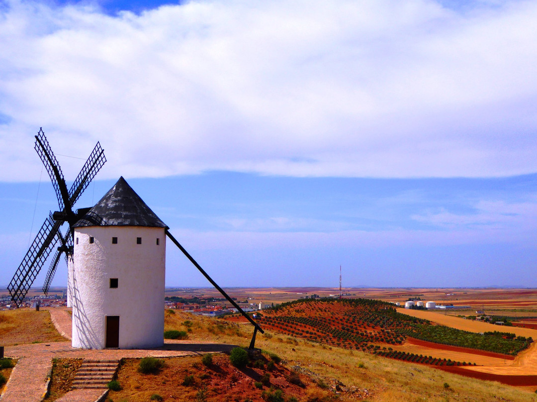 Molinos De Alcazar de San Juan景点图片