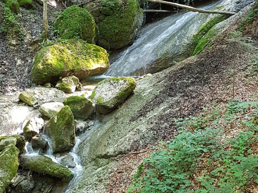 Aigner Park-萨尔茨堡必去景点