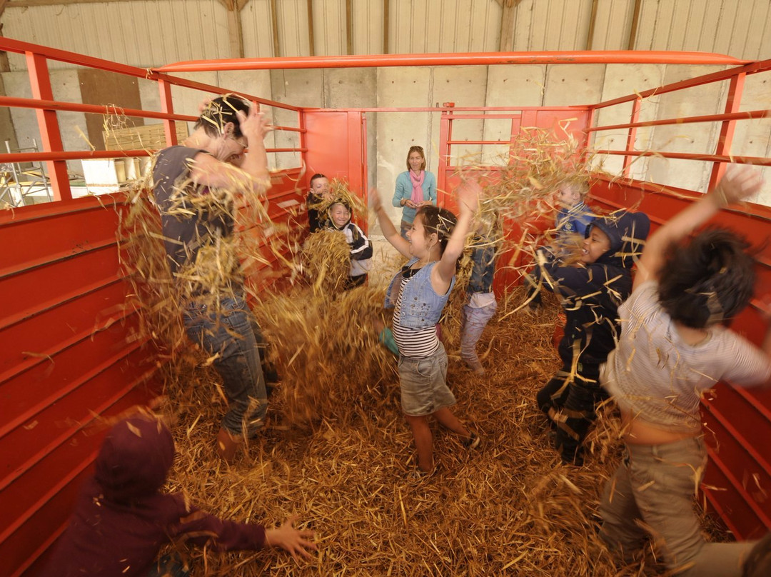Ferme Pédagogique d'Epaville景点图片