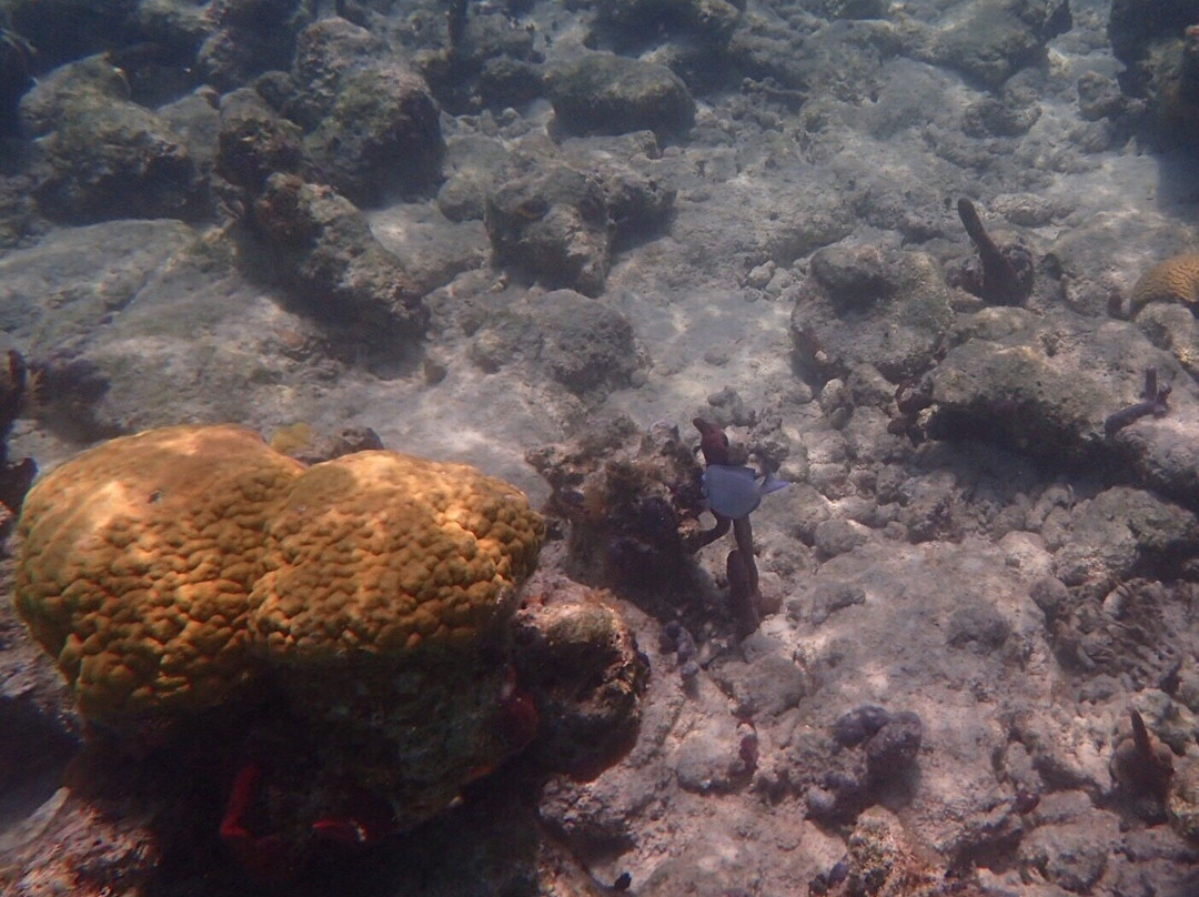 亚历山德拉公主国家公园-普罗维登西亚莱斯必去景点