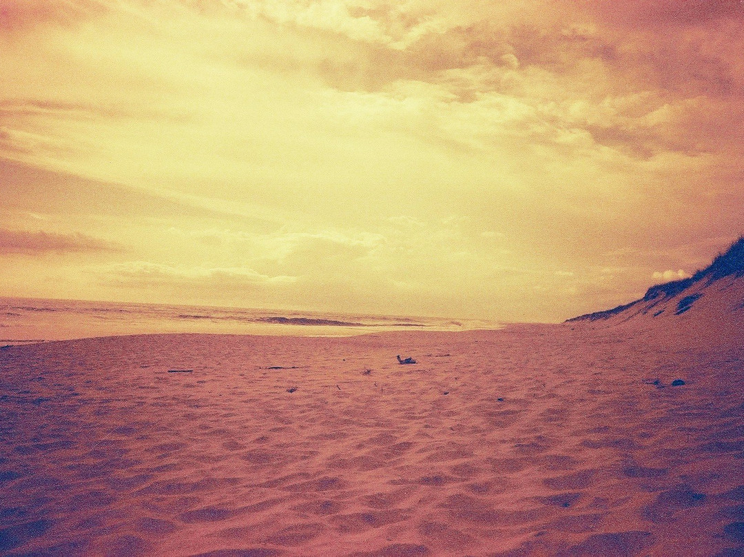 Osso da Baleia Beach景点图片