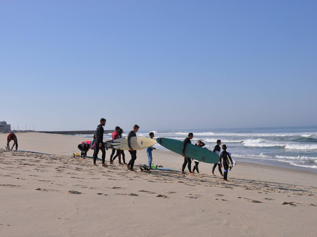 RedAnimal Surf Shop景点图片