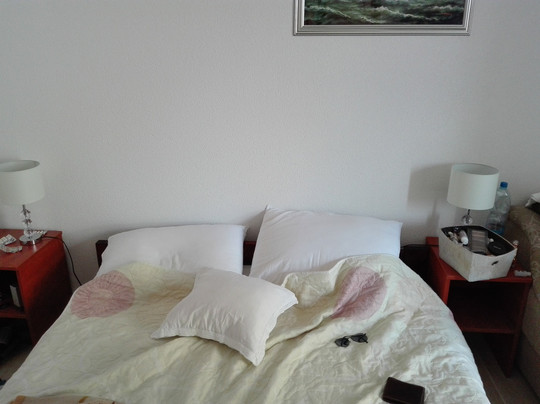 Zagvozd酒店住宿-Apartments Saric