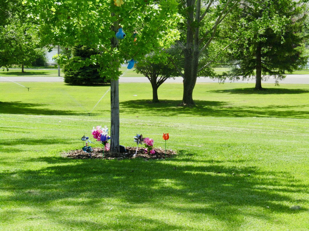 Freeman Park-爱达荷福尔斯必去景点