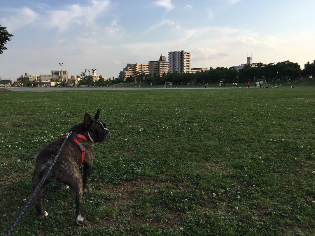 Ayase Riverside Park-草加市必去景点
