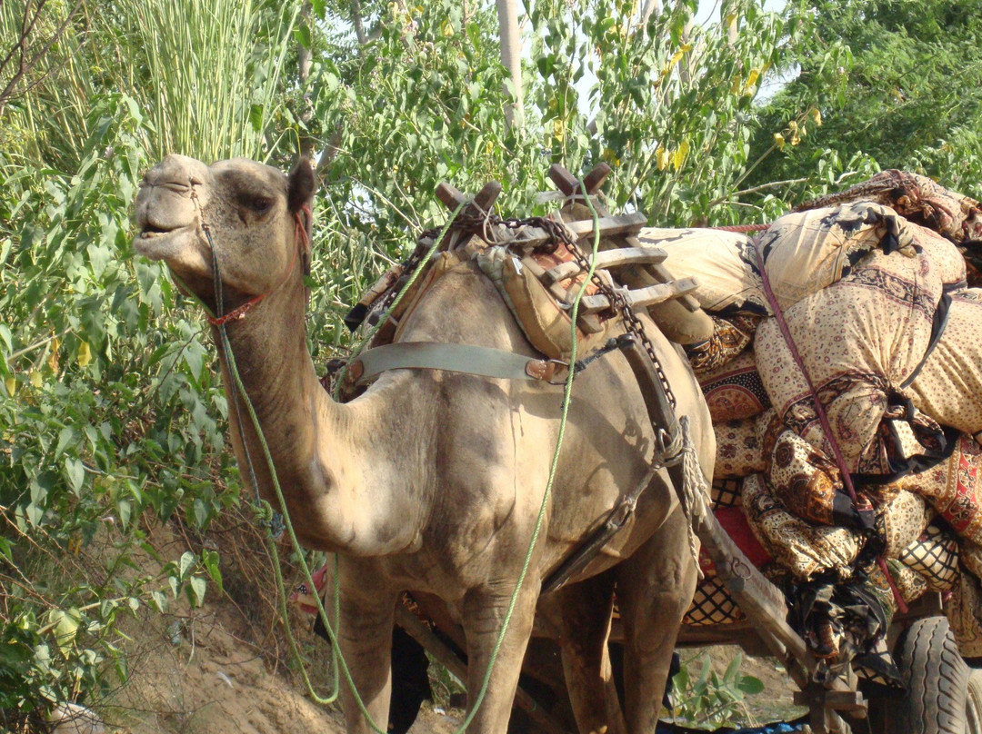 Behind the Scenes Adventures-卡萨布兰卡必去景点