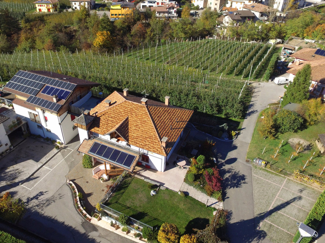 Mollaro酒店住宿-Agriturismo Golden Pause