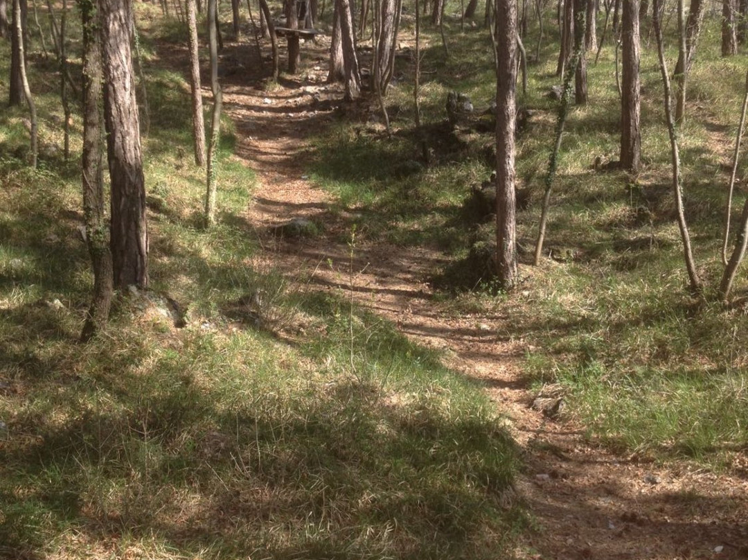 Trieste Adventure Park景点图片