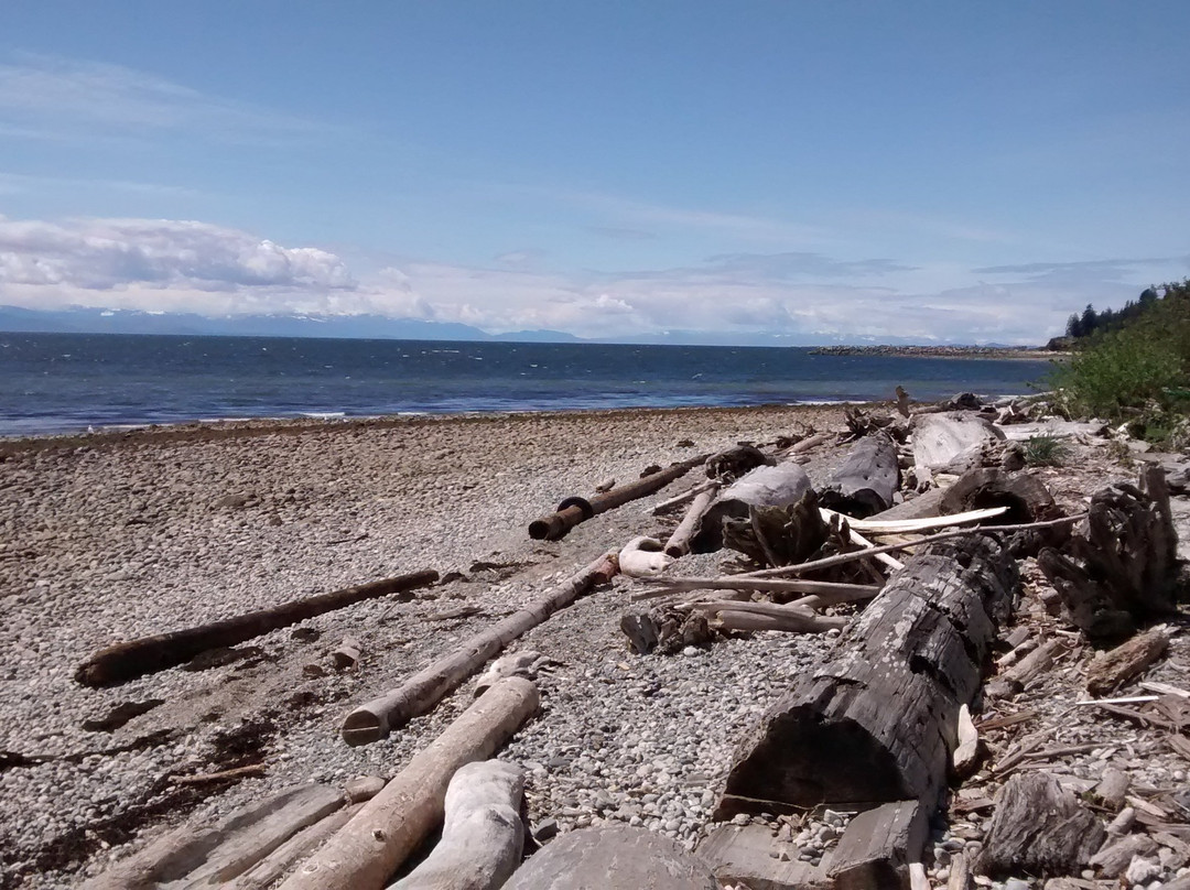Roberts Creek Provincial Park景点图片