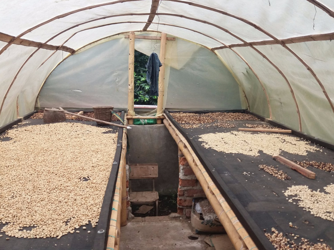 Cafe La Arzacia-萨伦托必去景点