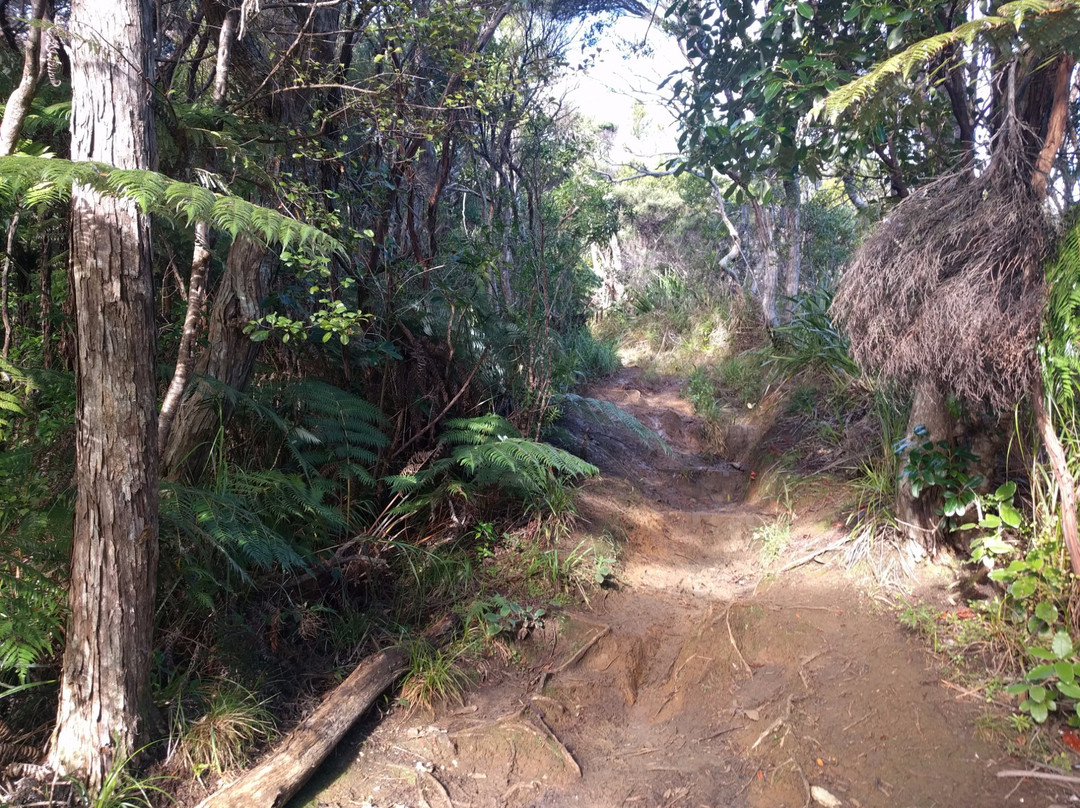 Pararaha Valley Track景点图片