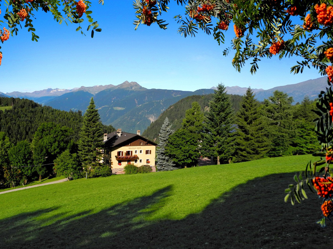 Steinerhof