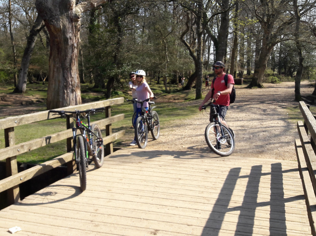 The Woods Cyclery景点图片