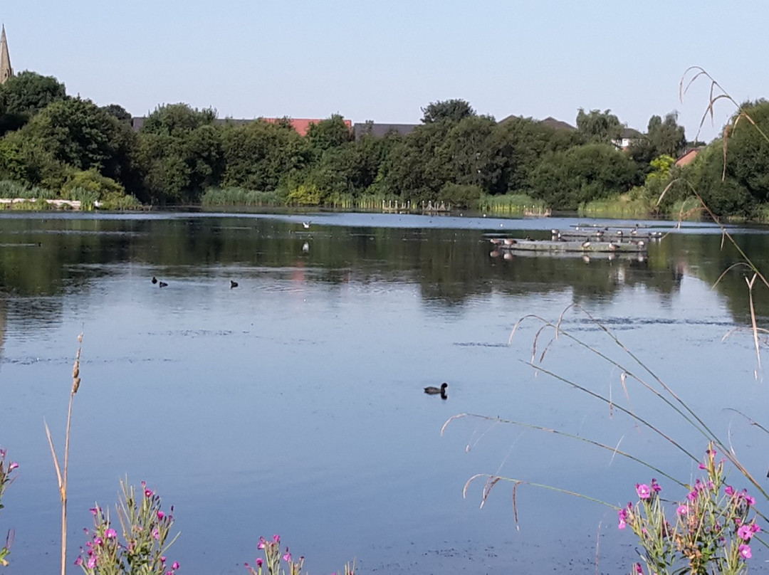 Blackleach Country Park景点图片