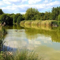 Burtree Lakes Holiday Home & Touring Park