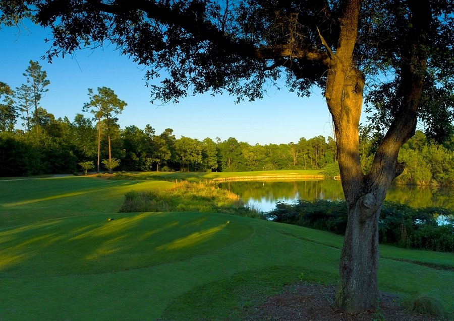 The Oaks Golf Club景点图片