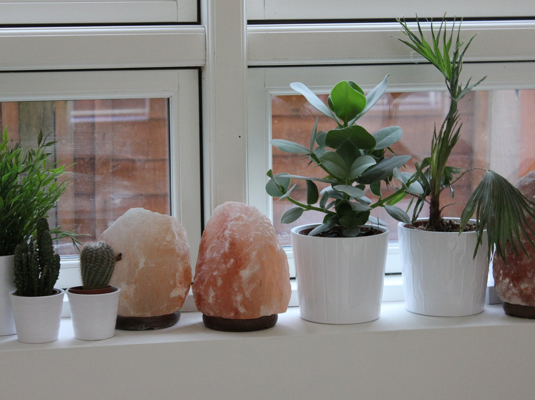Little Himalaya Salt Rooms-凯尼尔沃思必去景点