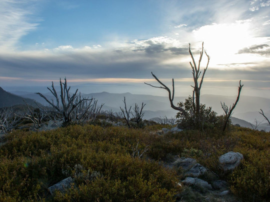 Lake Tali Karng-Alpine National Park必去景点