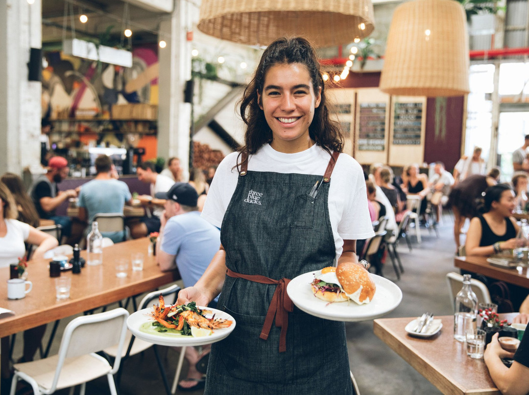 Three Blue Ducks Rosebery