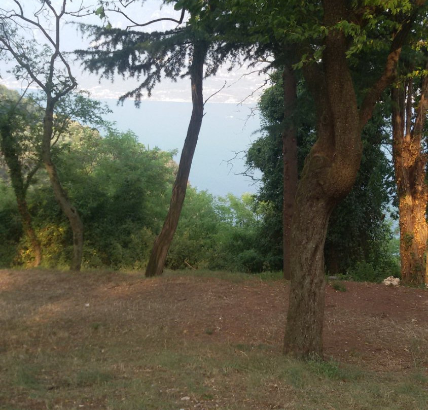 Park Hotel Faver主图