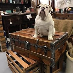 Depot 66-Lewisville必去景点