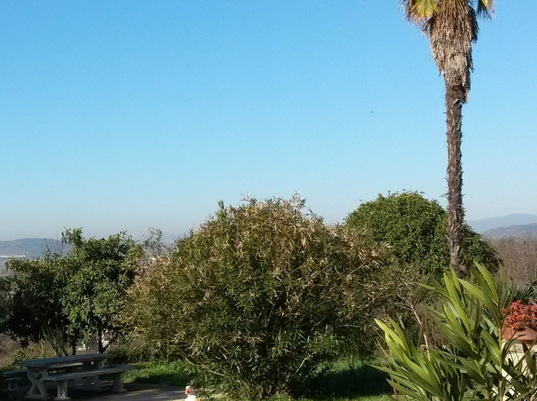 Agriturismo Stella e il Grillo主图
