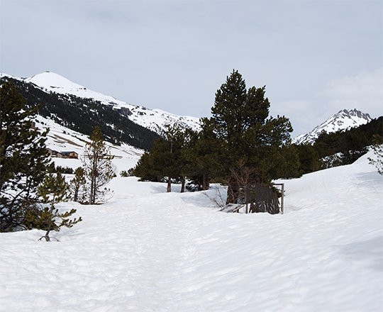 Camí de l'Obac d'Incles景点图片