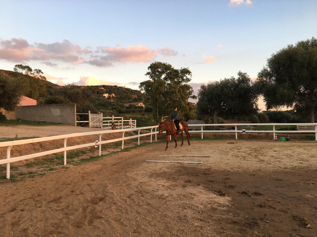 Officina Equestre-夸尔图－圣埃莱娜必去景点