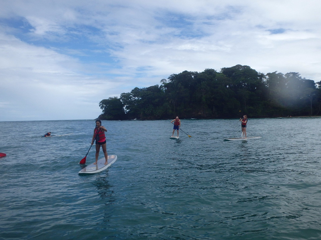 Green Water SUP Tours-Punta Uva必去景点