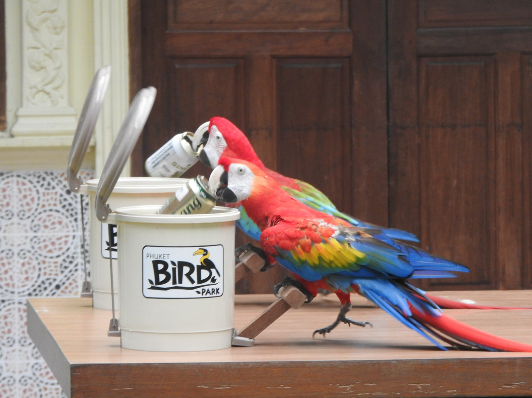 Phuket Bird Paradise-查龙必去景点