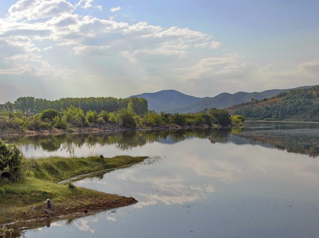 Kerkini Lake景点图片