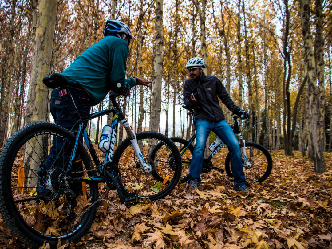 Isfahan Bike Rental & Tours景点图片