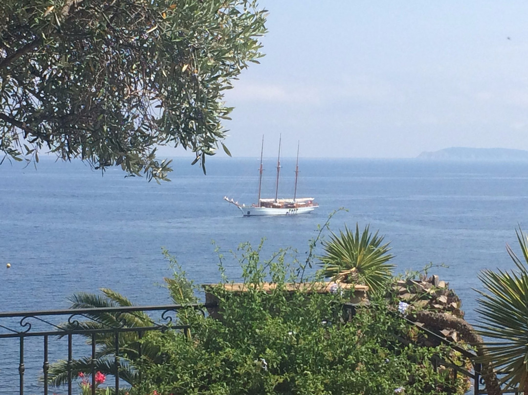 FrenchbytheSea-Rayol-Canadel-sur-Mer必去景点