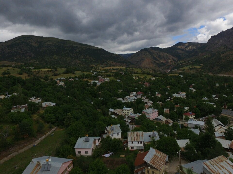 Tamzara Yaylası景点图片