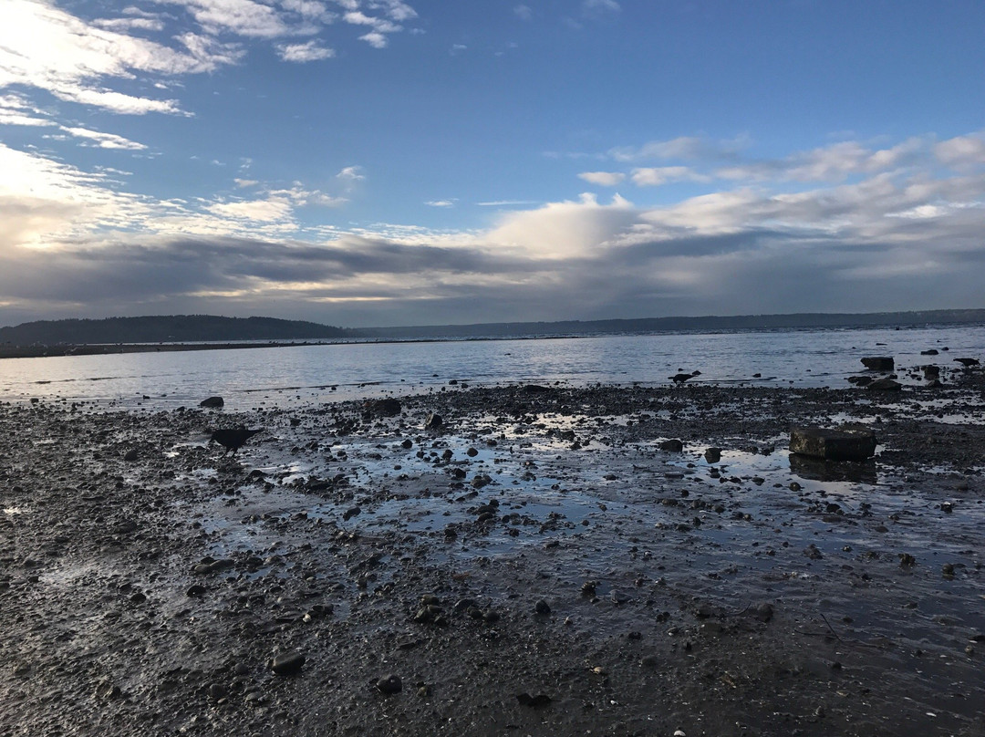 Des Moines Creek Trail-得梅因必去景点