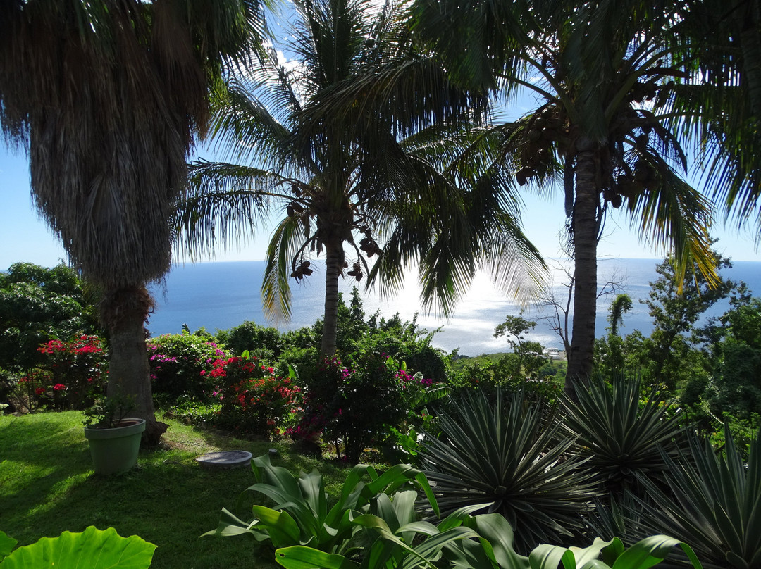 Villa Rose Caraibes主图