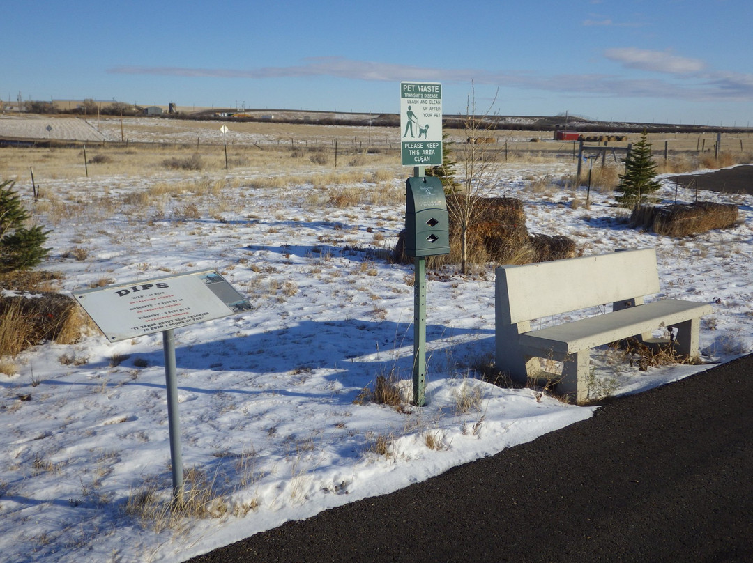 Roadrunner Trail-Shelby必去景点