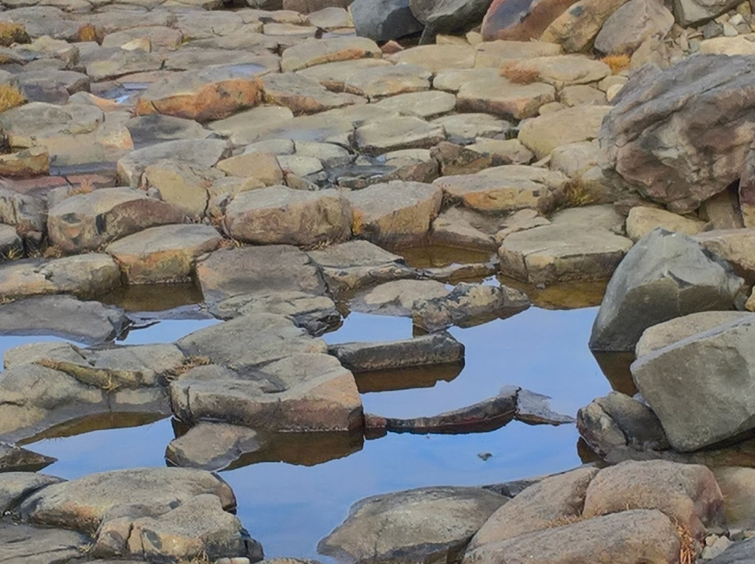 Kalfshamarsvik-Skagastrond必去景点