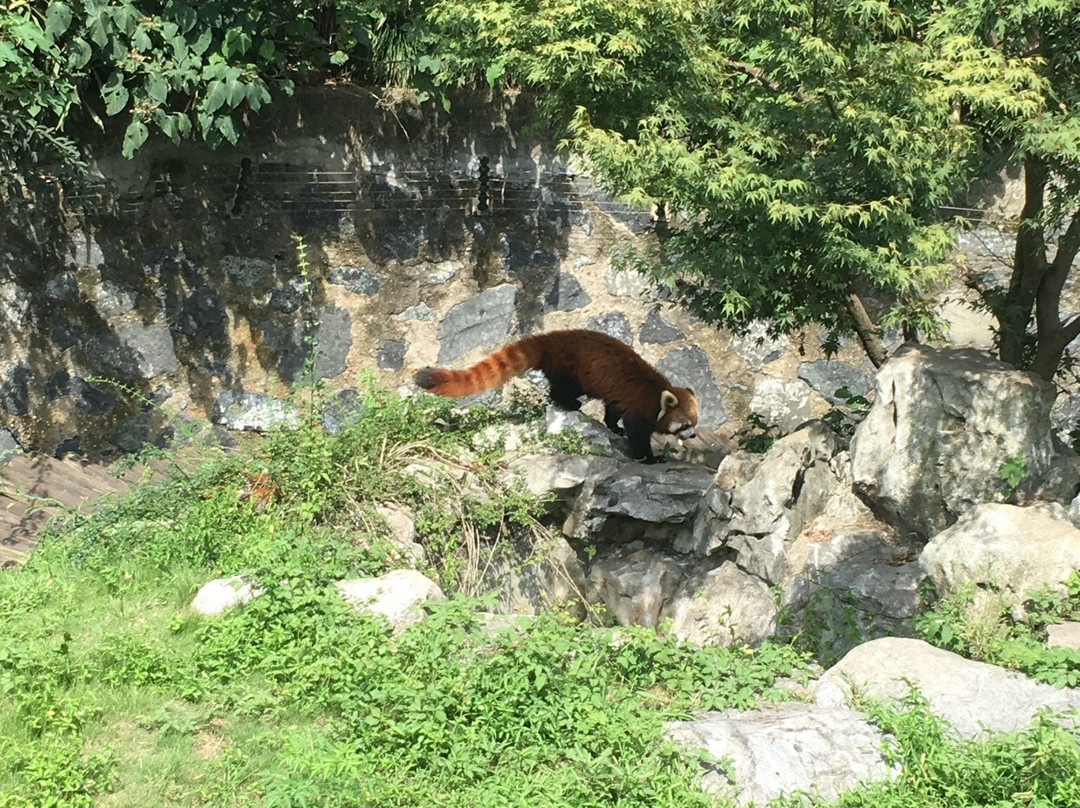 茱萸湾-扬州市必去景点