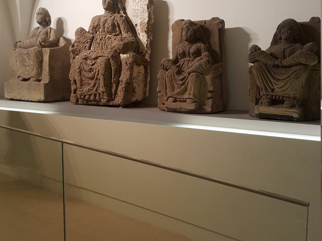 Museo Provinciale Campano景点图片