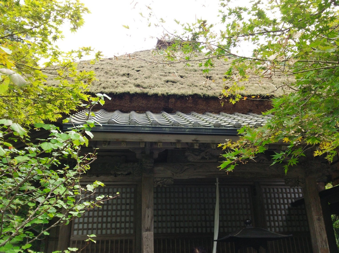 Ganryu-ji Temple-丹波市必去景点