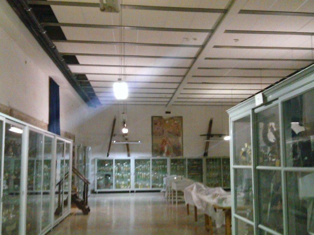 Musei del Seminario vescovile di Treviso-特雷维索必去景点