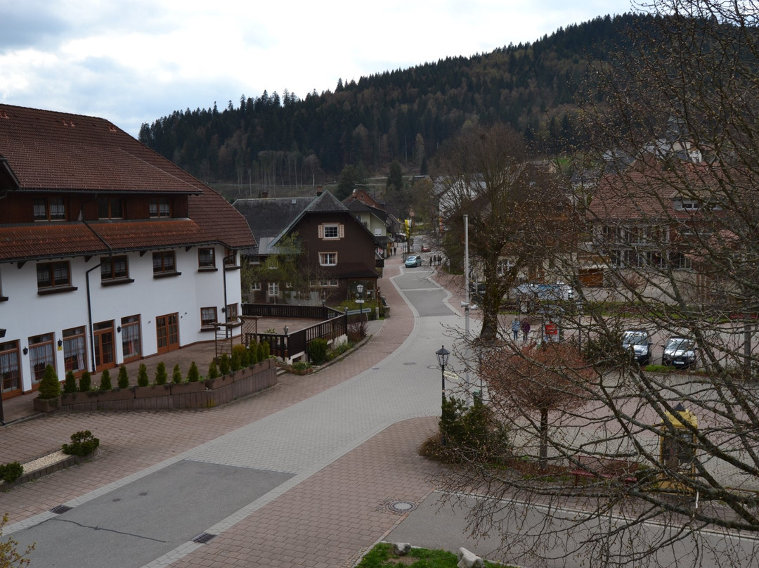 Hotel Maien + Appartement-Schwarzwaldhaus