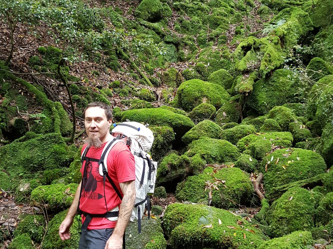 Yakushima Experience - Private Tour-屋久岛町必去景点
