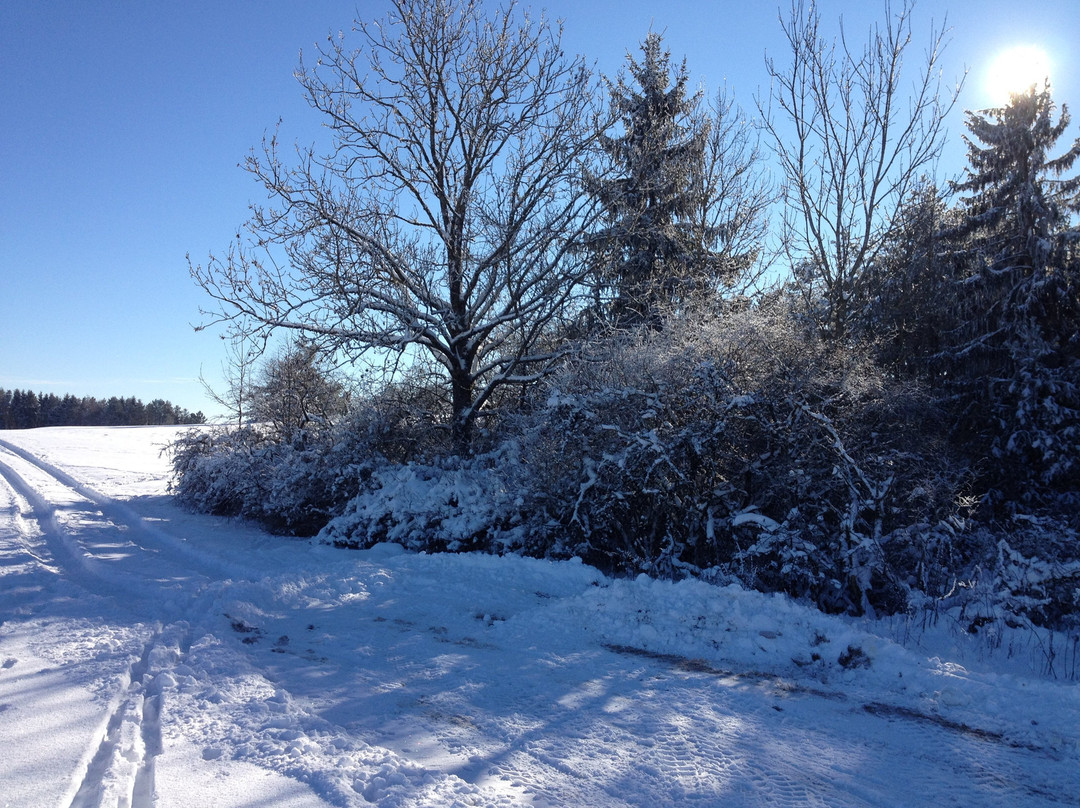 Muensingen酒店住宿-Hotel Gasthof Herrmann