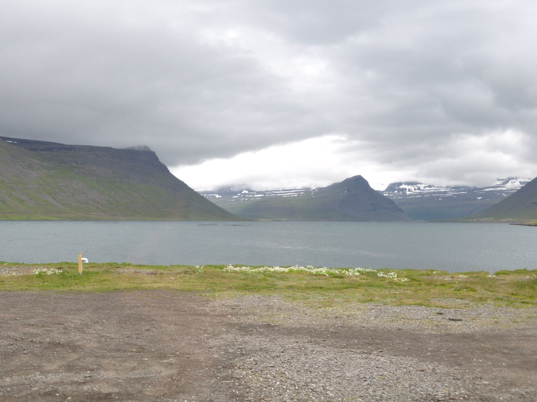 Swanfjord Guesthouse