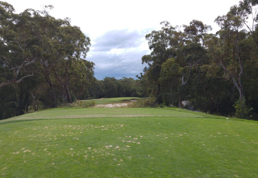 Newcastle Golf Club景点图片